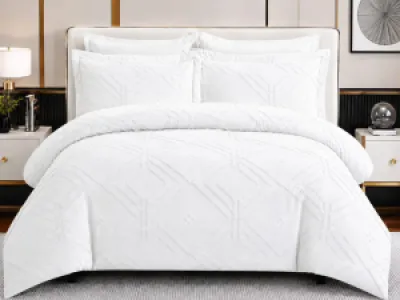 Tufted Duvet with 1 bedsheet and 4 pillow cases.